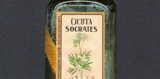 Historias falsas – Gonçalo M. Tavares Historias falsas - Gonçalo M. Tavares