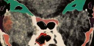 Órbita – Miguel Serrano Larraz Órbita - Miguel Serrano Larraz