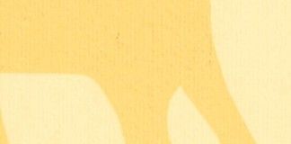 Era el cielo – Sergio Bizzio Era el cielo - Sergio Bizzio