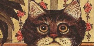 Soy un gato – Natsume Sōseki Soy un gato - Natsume Sōseki