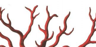 Diario del año de la peste – Daniel Defoe Diario del año de la peste - Daniel Defoe