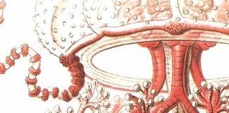 Solaris – Stanislaw Lem Solaris - Stanislaw Lem