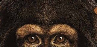Padres, hijos y primates – Jon Bilbao Padres, hijos y primates - Jon Bilbao