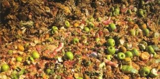 Despilfarro – Tristam Stuart Despilfarro - Tristam Stuart