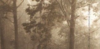 El santo del monte Koya y otros relatos – Izumi Kyōka El santo del monte Koya y otros relatos - Izumi Kyoka