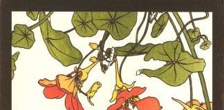 La puerta – Natsume Sōseki La puerta - Natsume Sōseki