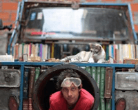 El Robin Hood de los libros El Robin Hood de los libros