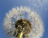 La lectura y la alergia al esfuerzo La lectura y la alergia al esfuerzo