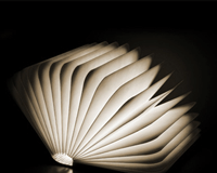 Defectos del canon literario Defectos del canon literario