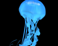 La inevitable marginalidad de la lectura profunda La inevitable marginalidad de la lectura profunda