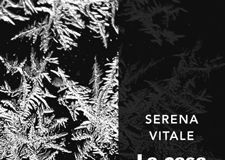 La casa de hielo La casa de hielo