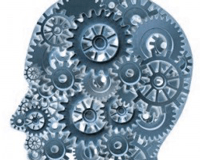 ¿Destruye Internet nuestra capacidad para leer con profundidad? ¿Destruye Internet nuestra capacidad para leer con profundidad?