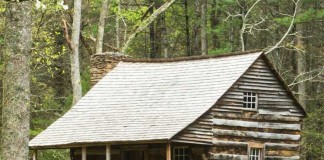 Un año en los bosques – Sue Hubbell Un año en los bosques - Sue Hubbell